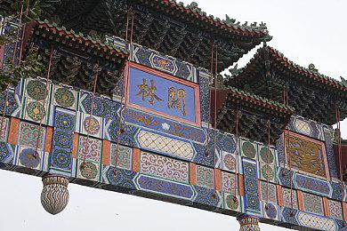 强强联合？《街头霸王6》×《怪物猎人：荒野》发布联动宣传片